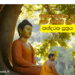 සැබෑ සැපත සොයා යන මානව ගමන